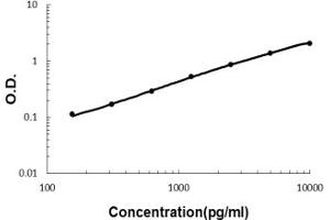 Sandwich ELISA - Recombinant human Kallikrein 1/KLK1 protein standard curve. (Kallikrein 1 抗体  (AA 25-262))