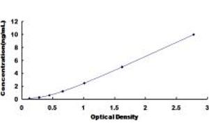 Typical standard curve (NEIL3 ELISA 试剂盒)