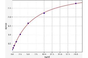 Typical standard curve (LAMb4 ELISA 试剂盒)