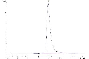 Size-exclusion chromatography-High Pressure Liquid Chromatography (SEC-HPLC) image for Butyrophilin, Subfamily 1, Member A1 (BTN1A1) (AA 27-242) protein (His-Avi Tag) (ABIN7274007)