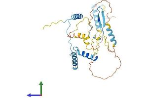 AlphaFold protein structure predicition of Human Recombinant HYLS1 Protein, UniprotID Q96M11 (HYLS1 Protein (AA 1-299) (His tag))