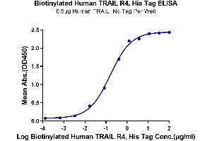 Immobilized Human TRAIL, No Tag at 5 μg/mL (100 μL/well) on the plate. (DcR2 Protein (His-Avi Tag,Biotin))
