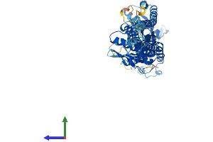 Protein Structure (PS) image for Guanylate Binding Protein 1, Interferon-Inducible (GBP1) (AA 1-589) protein (His tag) (ABIN7556859)