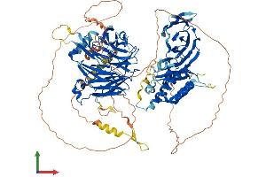 AlphaFold protein structure predicition of Mouse Recombinant Hira Protein, UniprotID Q61666