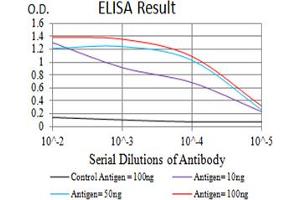 Black line: Control Antigen (100 ng),Purple line: Antigen (10 ng), Blue line: Antigen (50 ng), Red line:Antigen (100 ng) (Serotonin Receptor 3A 抗体  (AA 24-157))