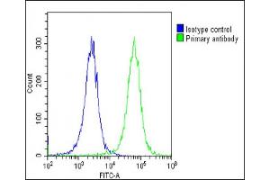 Flow Cytometry (FACS) image for anti-Collagen, Type XIV, alpha 1 (COL14A1) (AA 643-677) antibody (ABIN6242834)