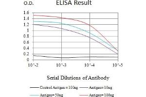 Black line: Control Antigen (100 ng),Purple line: Antigen (10 ng), Blue line: Antigen (50 ng), Red line:Antigen (100 ng) (AMBRA1 抗体  (AA 1177-1301))