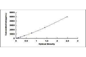 Typical standard curve (Laminin alpha 5 ELISA 试剂盒)