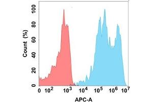 Flow cytometry analysis with Anti-TIGIT (DM178) on Expi293 cells transfected with human TIGIT (Blue histogram) or Expi293 transfected with irrelevant protein (Red histogram).