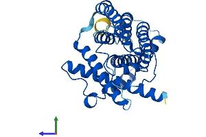 AlphaFold protein structure predicition of Human Recombinant MT-ND1 Protein, UniprotID P03886