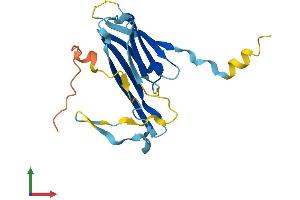 Protein Structure (PS) image for Heat Shock 27kDa Protein 2 (HSPB2) (AA 1-182) protein (His tag) (ABIN7560469)