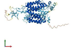 Protein Structure (PS) image for Solute Carrier Family 22 (Organic Cation Transporter), Member 7 (SLC22A7) (AA 1-548) protein (His tag) (ABIN7555381)