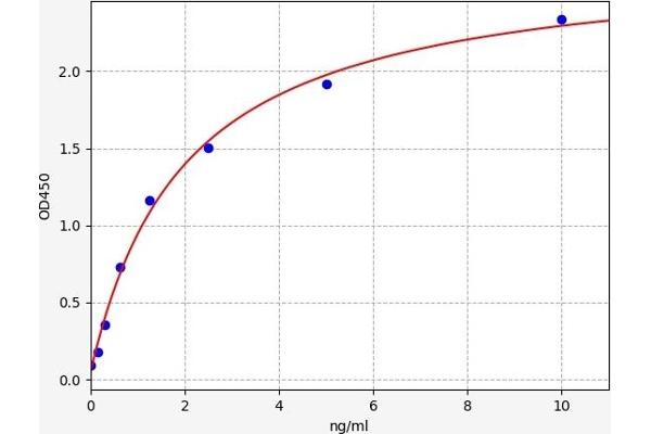 LKB1 ELISA 试剂盒