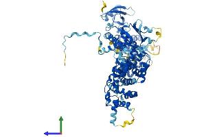 Protein Structure (PS) image for Engulfment and Cell Motility 1 (ELMO1) (AA 1-727) protein (His tag) (ABIN7558806)