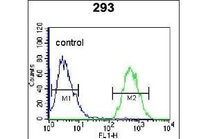 GPC6 Antibody (C-term) (ABIN655620 and ABIN2845100) flow cytometric analysis of 293 cells (right histogram) compared to a negative control cell (left histogram). (Glypican 6 抗体  (C-Term))