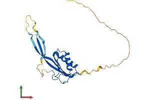 Protein Structure (PS) image for Ribonuclease P/MRP 25kDa Subunit (RPP25) (AA 1-199) protein (His tag) (ABIN7560033)