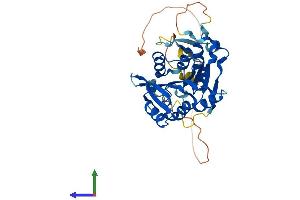 Protein Structure (PS) image for Methyltransferase Like 18 (METTL18) (AA 1-372) protein (His tag) (ABIN7549366)