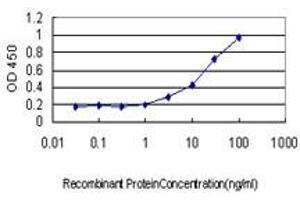 Detection limit for recombinant GST tagged ASCL1 is approximately 1ng/ml as a capture antibody. (ASCL1 抗体  (AA 137-236))
