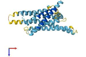 AlphaFold protein structure predicition of Mouse Recombinant Tas2r136 Protein, UniprotID Q7TQA8 (TAS2R136 Protein (AA 1-305) (His tag))