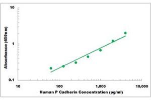 Representative Standard Curve (P-Cadherin ELISA 试剂盒)