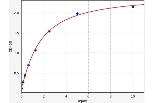 ADCYAP1R1 ELISA 试剂盒