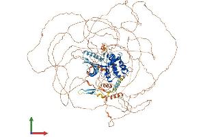 Protein Structure (PS) image for Mitogen-Activated Protein Kinase Kinase Kinase 19 (MAP3K19) (AA 1-1311) protein (His tag) (ABIN7562124)