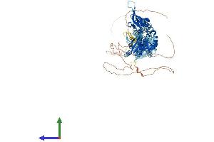 AlphaFold protein structure predicition of Mouse Recombinant Cnnm2 Protein, UniprotID Q3TWN3