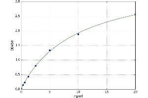 A typical standard curve (KATNB1 ELISA 试剂盒)