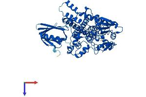 MTMR9 Protein (AA 1-549) (His tag)