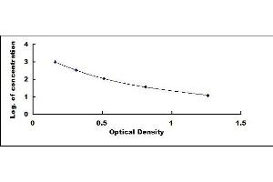 Typical standard curve (beta Endorphin ELISA 试剂盒)