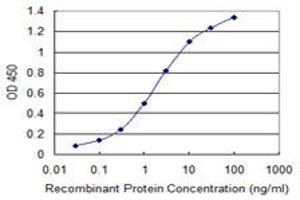 Detection limit for recombinant GST tagged CALN1 is 0. (Calneuron 1 抗体  (AA 36-106))