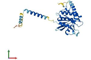 Protein Structure (PS) image for Signal Recognition Particle Receptor, B Subunit (SRPRB) (AA 1-269) protein (His tag) (ABIN7563290)