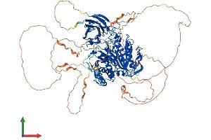 AlphaFold protein structure predicition of Human Recombinant AGBL5 Protein, UniprotID Q8NDL9
