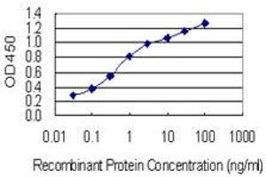 Detection limit for recombinant GST tagged OSBP is 0. (OSBP 抗体  (AA 324-407))