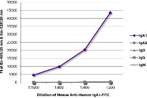 FLISA plate was coated with purified human IgA1, IgA2, IgD, IgG, and IgM. (小鼠 anti-人 IgA1 Antibody (FITC))