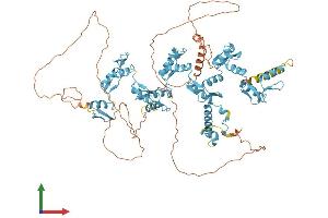 Protein Structure (PS) image for Zinc Finger Protein 786 (ZNF786) (AA 1-782) protein (His tag) (ABIN7545401)