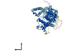 Protein Structure (PS) image for ATP-Binding Cassette, Sub-Family D (Ald), Member 4 (ABCD4) (AA 1-606) protein (His tag) (ABIN7562703)
