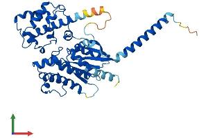 AlphaFold protein structure predicition of Human Recombinant GNAS Protein, UniprotID P63092