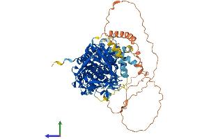LIPE Protein (AA 1-759) (His tag)