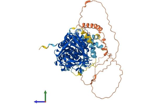 LIPE Protein (AA 1-759) (His tag)