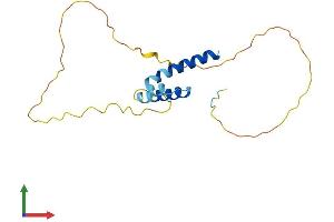 Protein Structure (PS) image for Hairy and Enhancer of Split 3 (HES3) (AA 1-175) protein (His tag) (ABIN7557724)