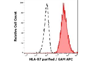 Separation of human lymphocytes of HLA-B7 positive blood donor (red-filled) from human lymphocytes of HLA-B7 negative blood donor (black-dashed) in flow cytometry analysis (surface staining) of human peripheral whole blood samples stained using anti-HLA-B7 (BB7. (HLA B7 抗体)