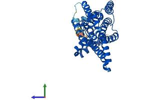Protein Structure (PS) image for Glucose 6-Phosphatase, Catalytic 3 (G6PC3) (AA 1-346) protein (His tag) (ABIN7547815)