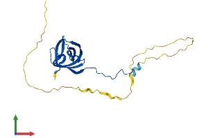 Protein Structure (PS) image for Single-Stranded DNA Binding Protein 1 (SSBP1) (AA 1-211) protein (His tag) (ABIN7546193)