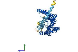 AlphaFold protein structure predicition of Human Recombinant OR5G3 Protein, UniprotID P0C626 (OR5G3 Protein (AA 1-314) (His tag))