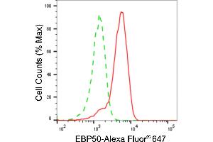 Flow cytometric analysis of EBP50 expression in H9c2 cells using EBP50 antibody (ABIN7800401), 1:2,000).