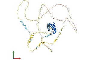 AlphaFold protein structure predicition of Human Recombinant GBX2 Protein, UniprotID P52951