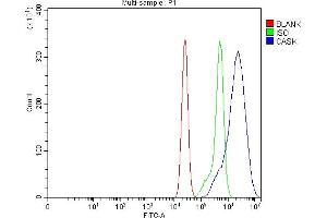 Flow Cytometry analysis of CACO-2 cells using anti-CASK antibody (ABIN7601021).