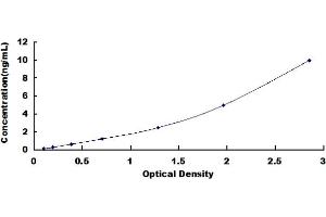 Typical standard curve (TLR10 ELISA 试剂盒)