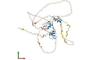 Protein Structure (PS) image for Kruppel-Like Factor 3 (Basic) (KLF3) (AA 1-344) protein (His tag) (ABIN7557642)
